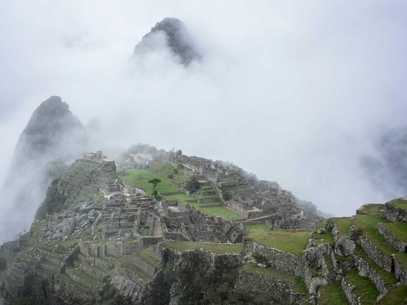 partners screenshot 6