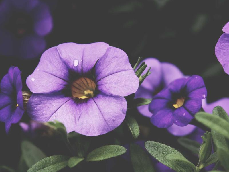 contact screenshot 2